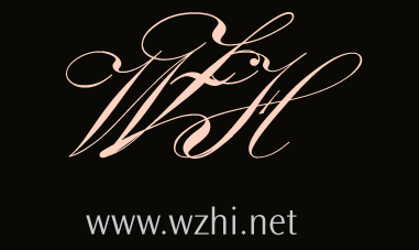 WZH International